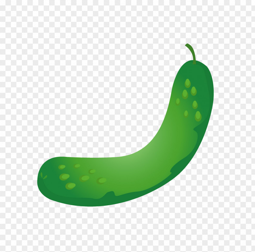 A Cucumber Vegetable Fruit PNG