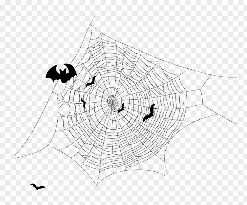 Cartoon Spider Web Painted Material PNG