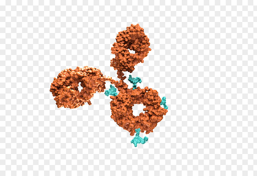 Drug Antibody-drug Conjugate Pharmaceutical Monoclonal Antibody Biotechnology PNG