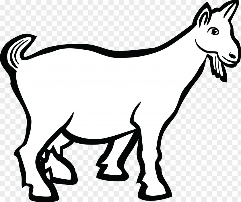 Goat Boer Line Art Drawing Clip PNG