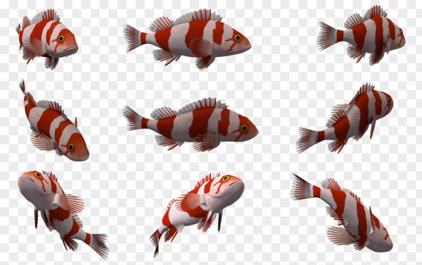 Nine Fish Deep Sea Creature Clip Art PNG