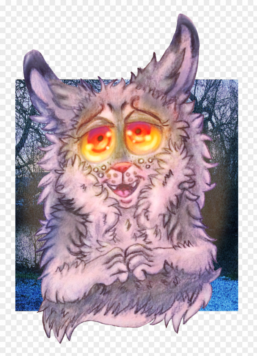 Owl Whiskers Cat Bird PNG