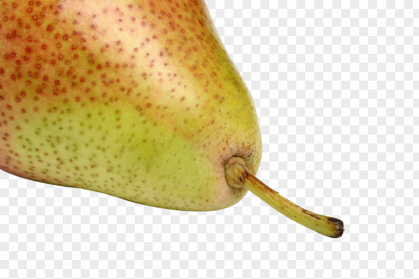 Pear European Asian Fruit Auglis PNG