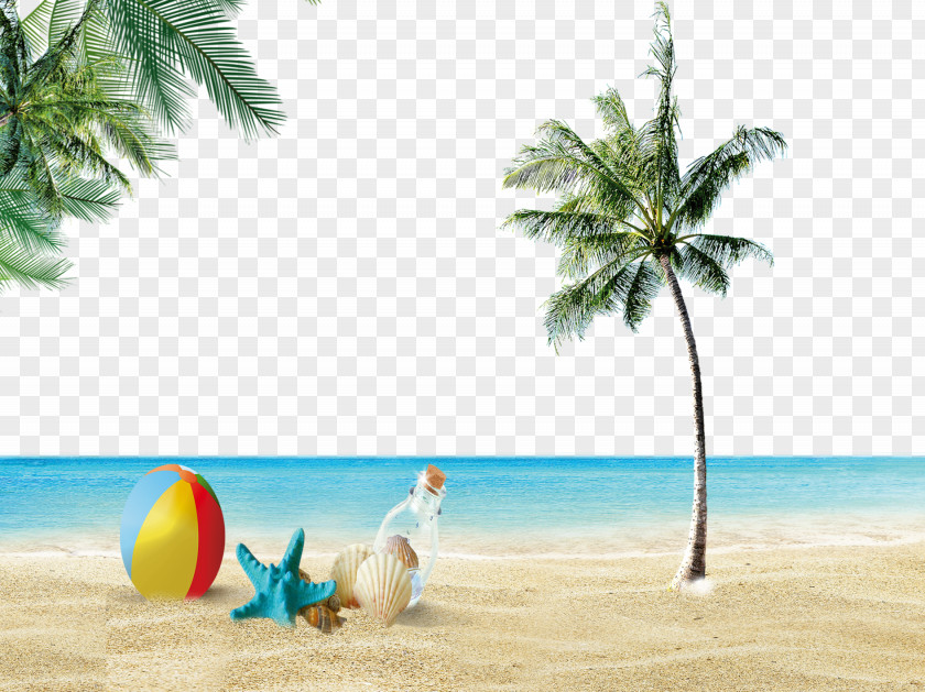 Beach Scenery Icon PNG