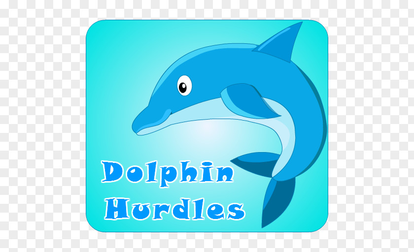 Dolphin Common Bottlenose Logo Brand Marine Biology PNG