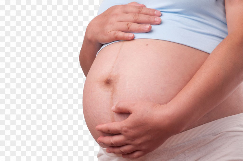 Pregnant Woman,belly,pregnancy,Mother,Pregnant Mother Pregnancy Abdomen Woman PNG