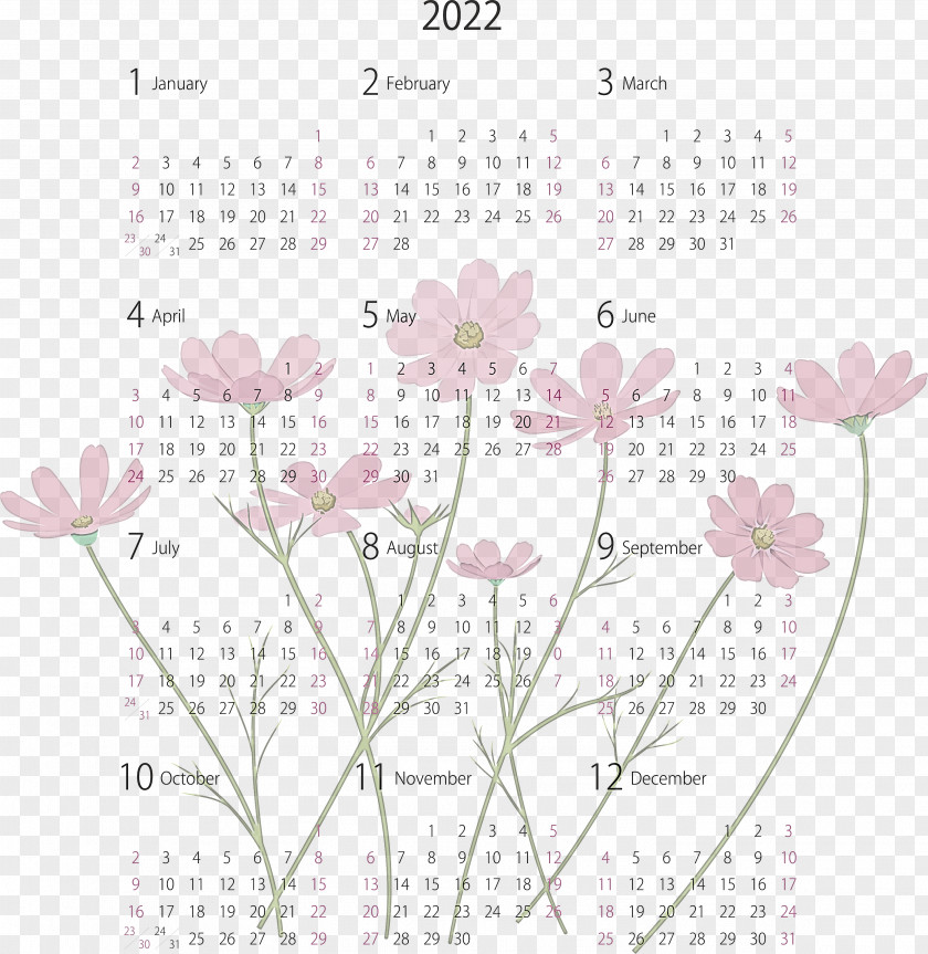 2022 Yearly Calendar Printable PNG