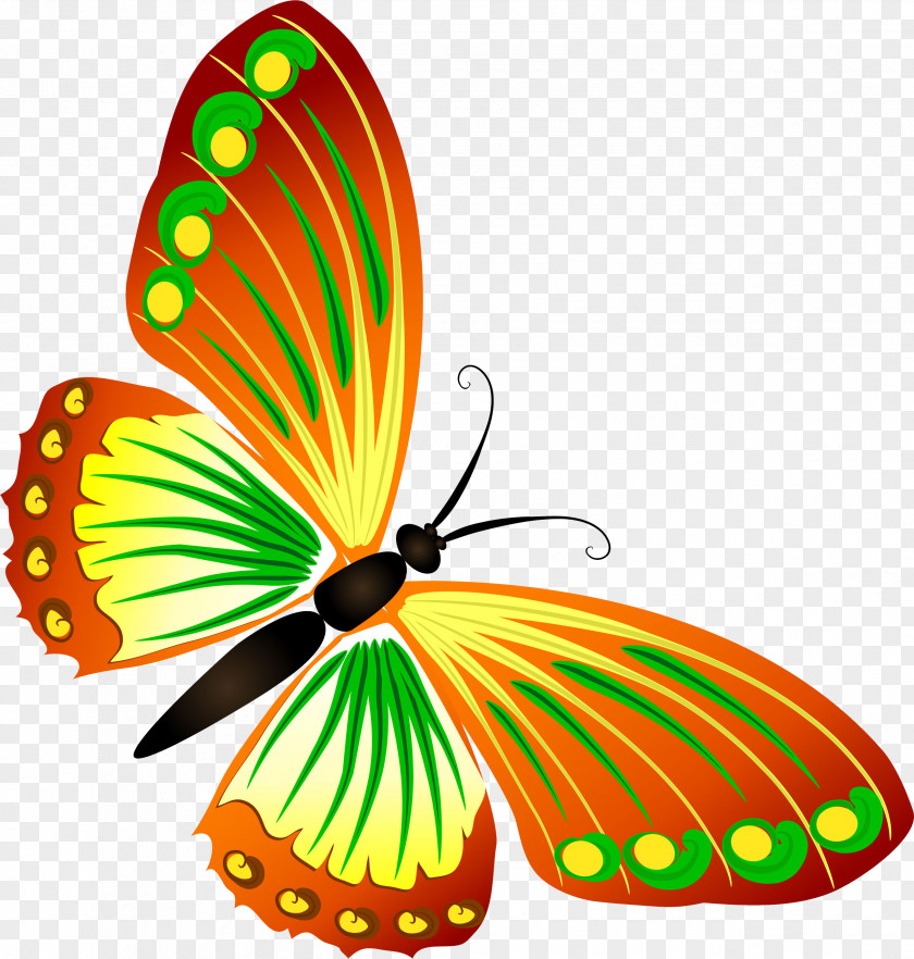 Butterfly Clip Art PNG