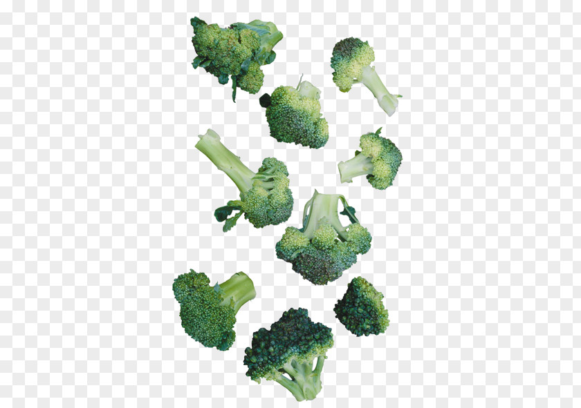 Cauliflower Broccoli Vegetable PNG