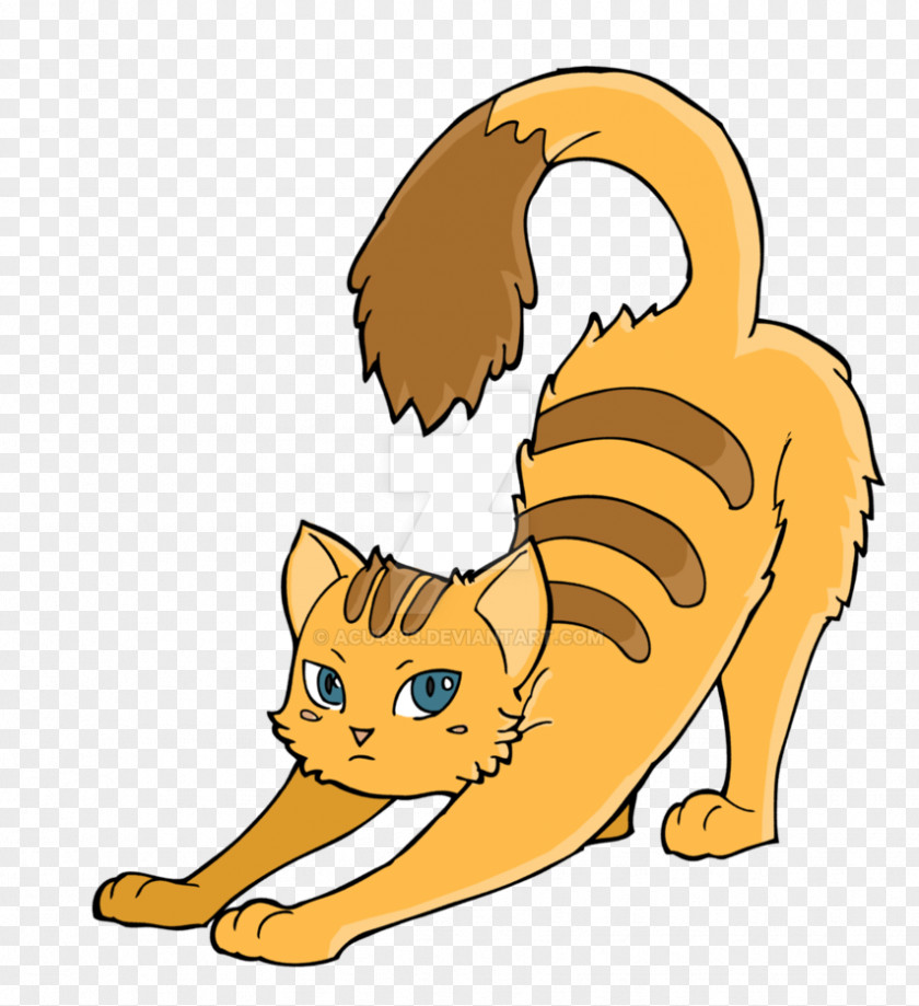 Color Shading Cat DeviantArt Kitten Drawing PNG