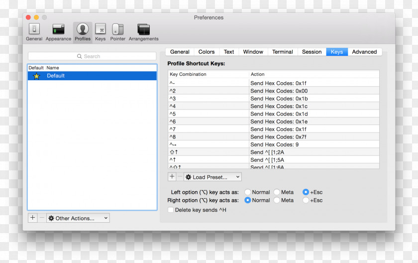 Config Meta Key Computer Program ITerm2 Option Esc PNG