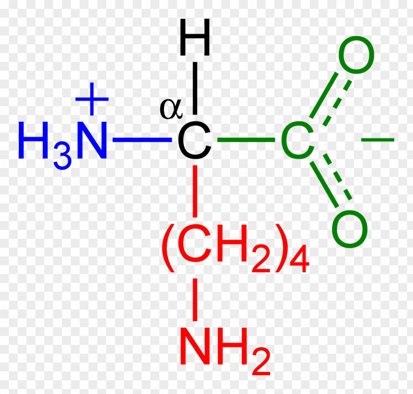 Low-carbon Environmental Protection Amino Acid Amine Methionine Protein Structure PNG