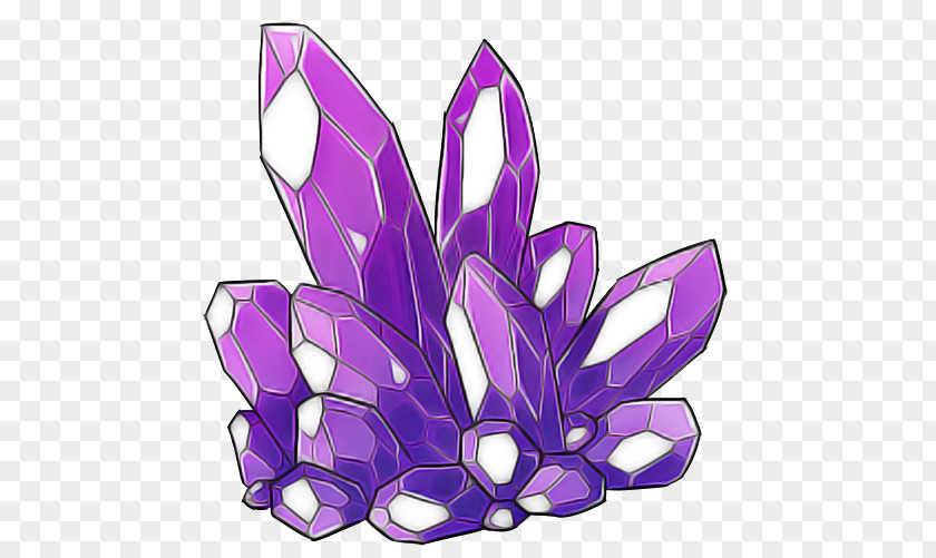 Purple Violet Lilac Leaf Plant PNG