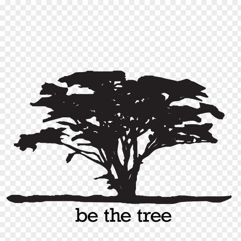 Safari Logo Digital Multimedia Academy Tree PNG