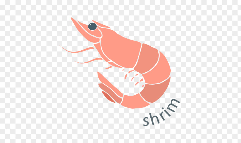 Shrimp Seafood Lobster Clam Clip Art PNG