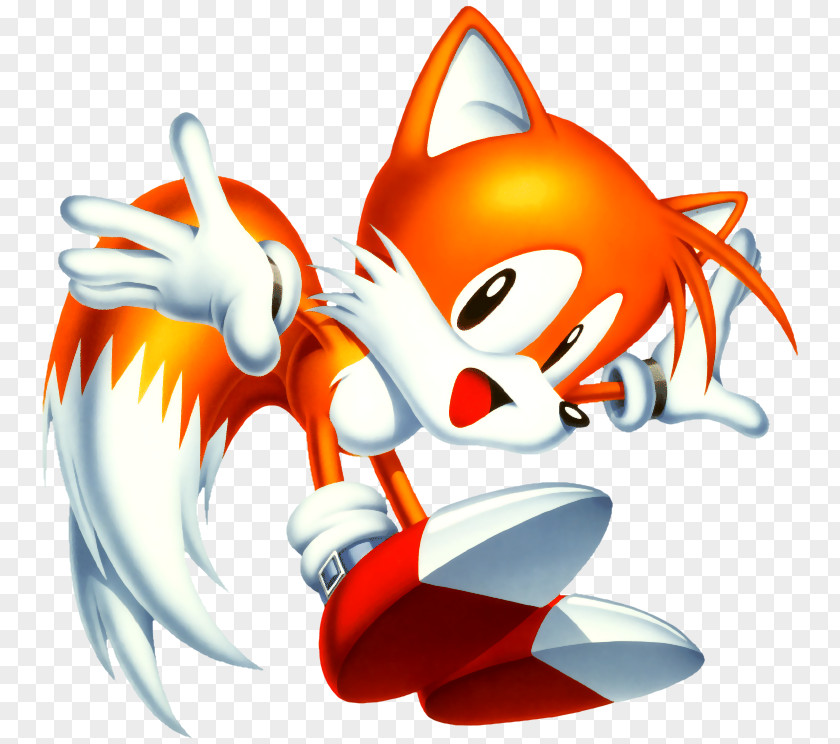 Sonic The Hedgehog 2 Chaos & Knuckles Tails PNG
