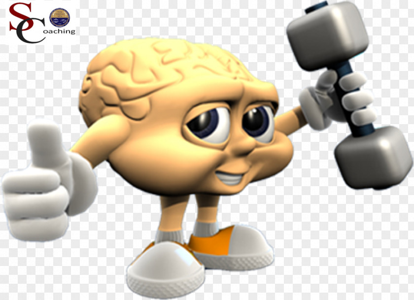 Brain Cognitive Training Human Learning Memory PNG