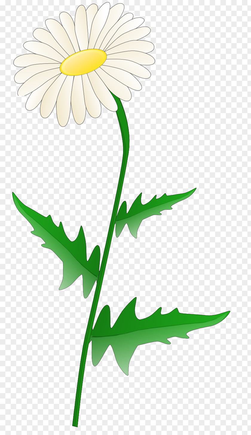 Daisys Clip Art PNG