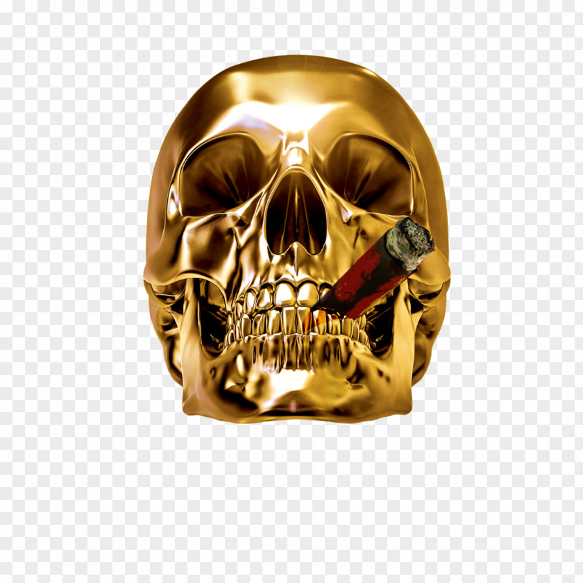 Golden Skeleton Cranial Head Skull Metal Clip Art PNG