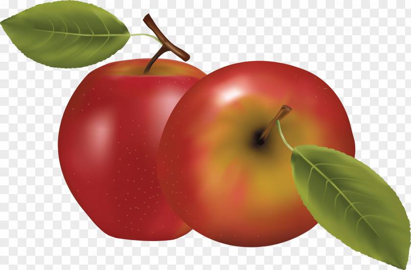 Red Apple Image Fruit Icon PNG