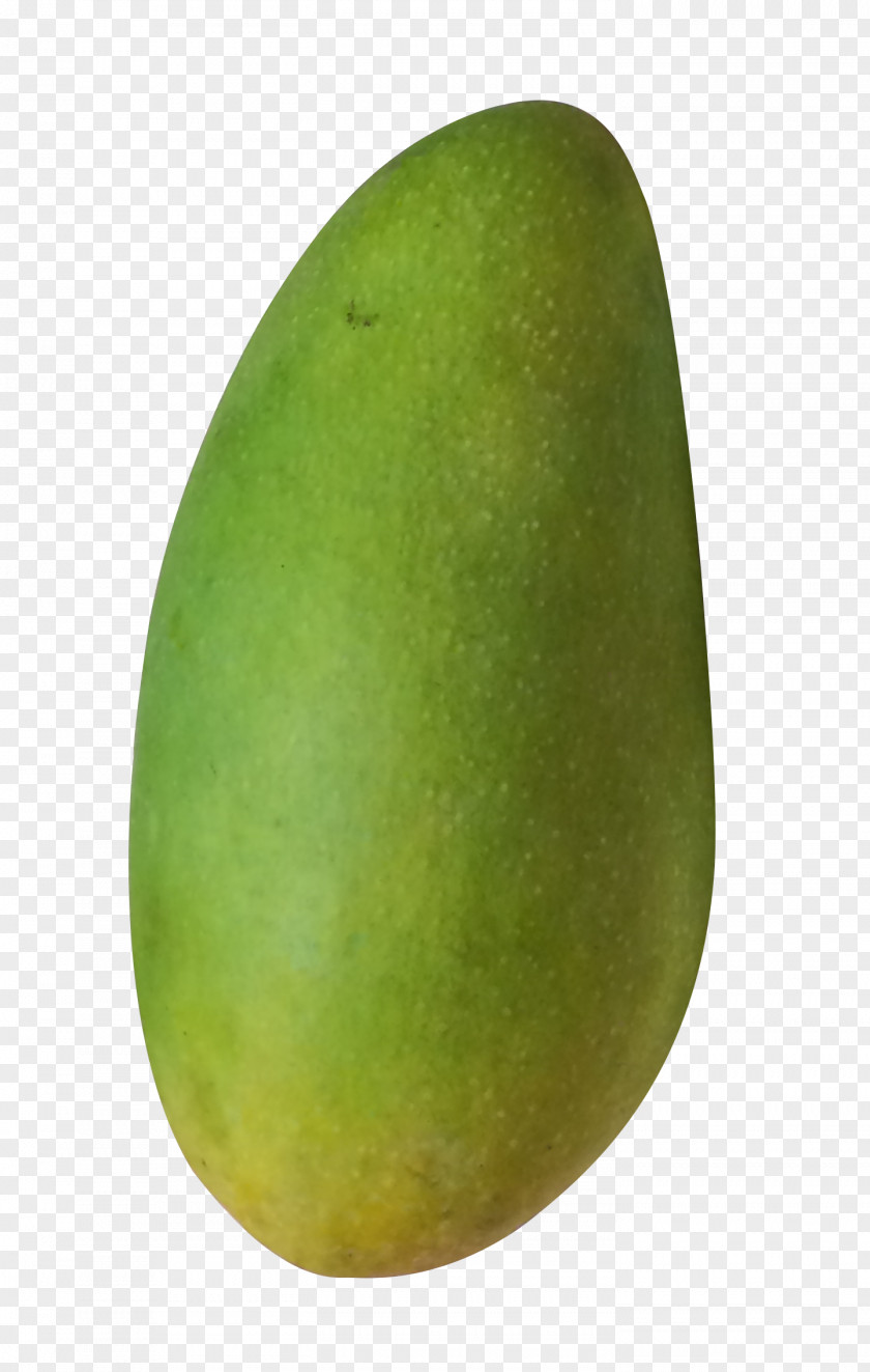 A Mango Avocado PNG
