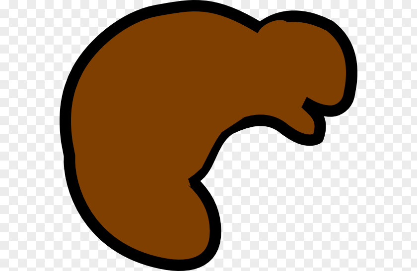 Beaver North American Clip Art PNG