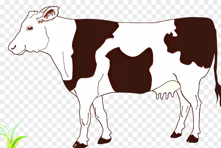 Clip Art Vector Graphics Ayrshire Cattle Drawing Beef PNG
