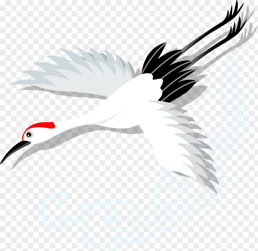 Crane Creative Longevity PNG