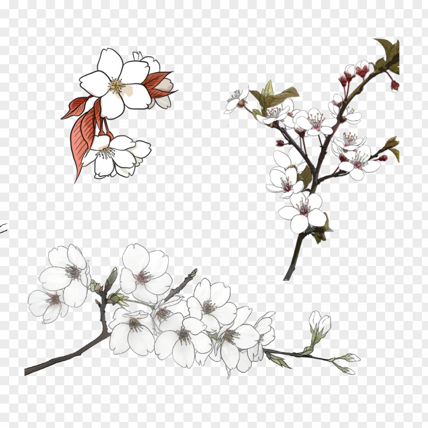 Creative Winter Plum Blossoms Flower PNG