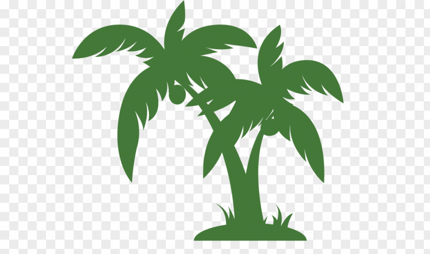 Pictures Of Palms Trees Arecaceae Tree Clip Art PNG