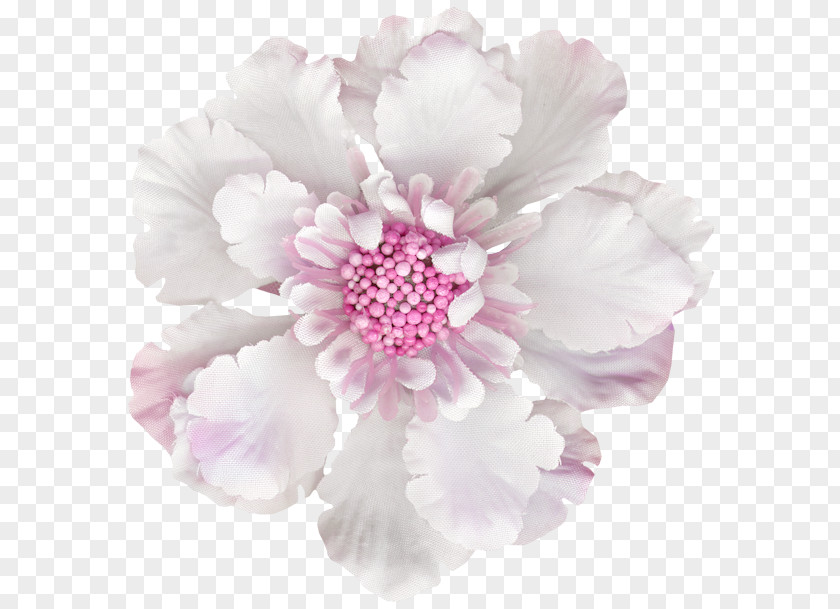 Chinese Peony Artificial Flower Flowers Background PNG