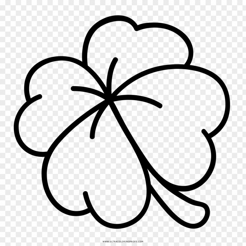 Clover Four-leaf Drawing Luck Coloring Book PNG