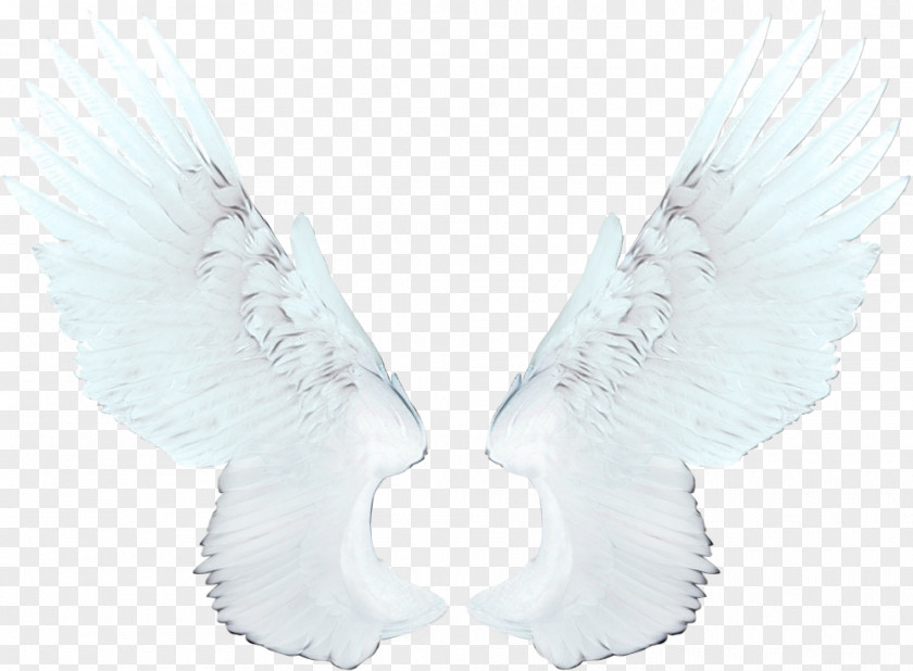 Ear Costume Accessory Flying Bird Background PNG