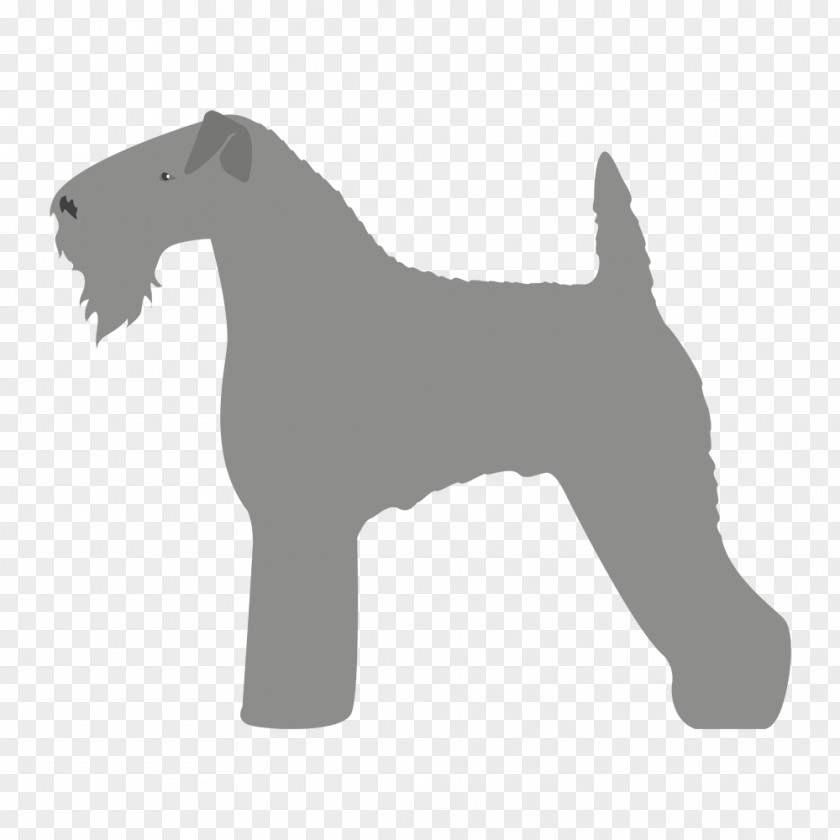 Norfolk Terrier Miniature Schnauzer Lakeland Dog Breed Kerry Blue PNG
