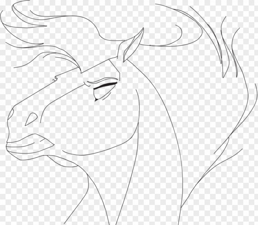 Spirit Stallion Horse Line Art Eye Sketch PNG