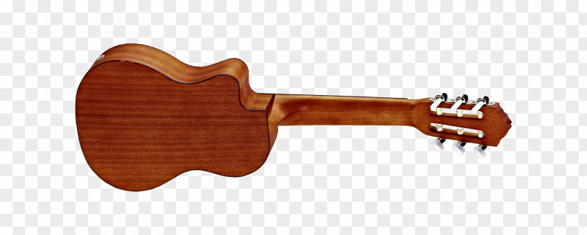 Amancio Ortega ESP LTD EC-1000 Ukulele Musical Instruments Bass Guitar PNG