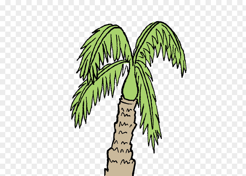 Coconut Tree, Island, Tropical. PNG