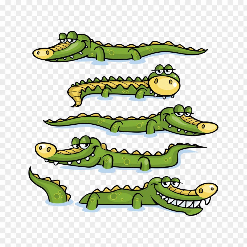 Crocodile Vector Material Nile Alligator Prenasalis Clip Art PNG