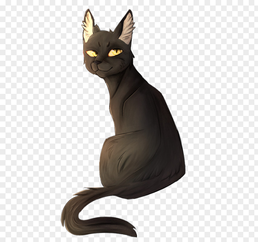 Gray Cat Korat Domestic Short-haired Whiskers Warriors Dawn PNG
