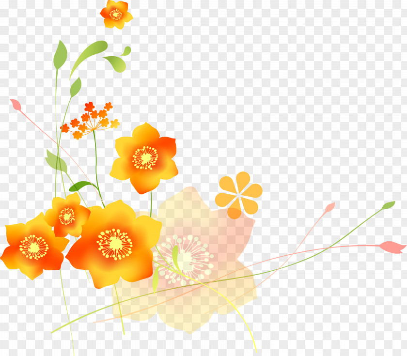 Hand Painted Flowers Flower Ornament PNG