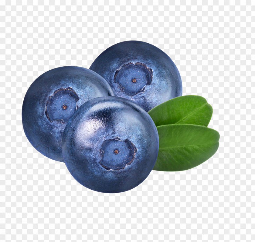 Large Blueberry Arbutin Material Bilberry Auglis Fruit PNG