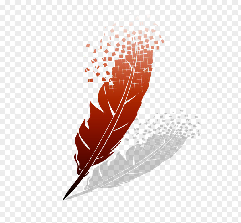 Pen Quill Drawing Writer Image PNG
