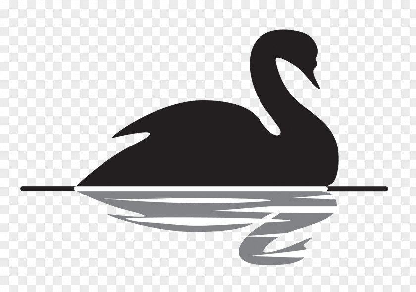 Swan The Black Swan: Impact Of Highly Improbable Antifragile Theory Prediction PNG