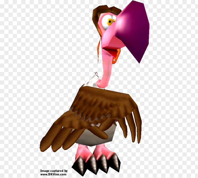 Bird Of Prey Beak Cartoon PNG