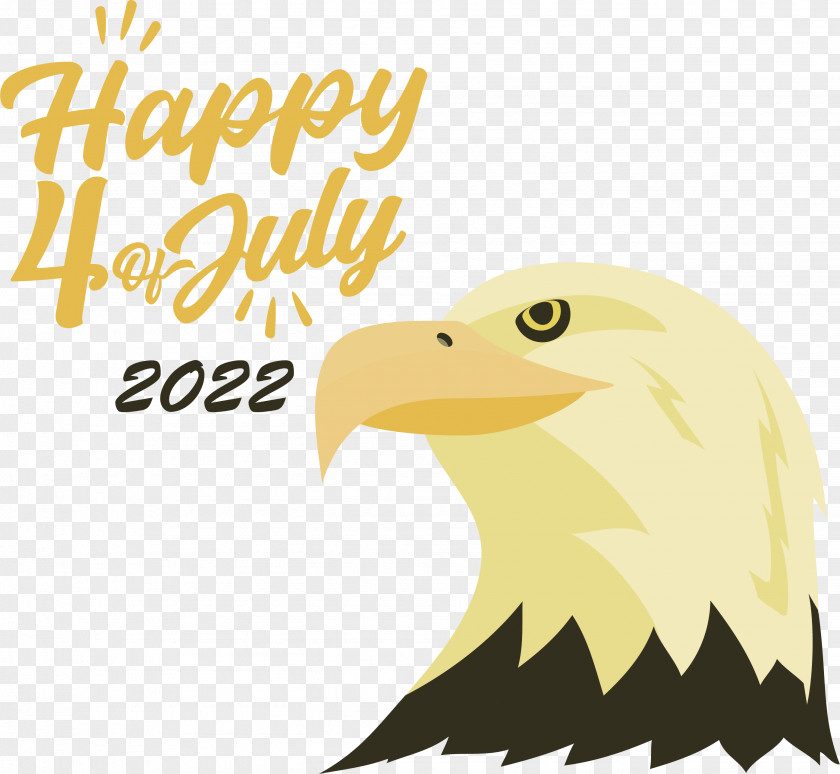 Birds Bald Eagle Bird Of Prey Eagle Beak PNG