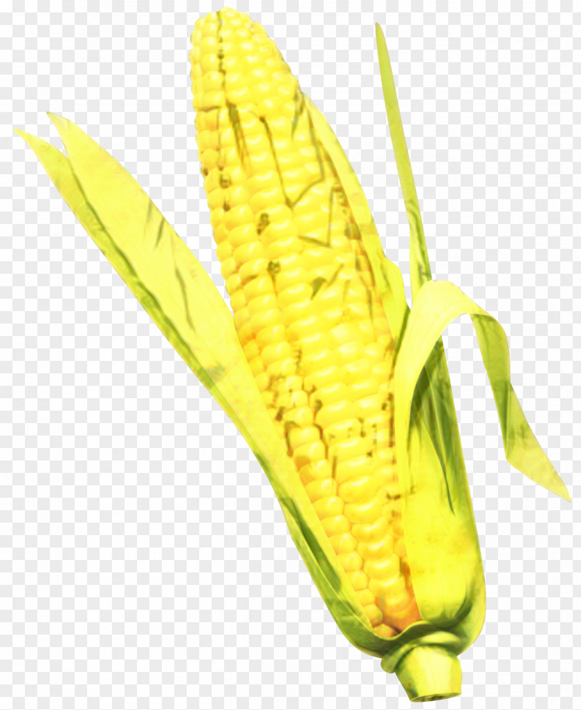 Corn On The Cob Kernel Fruit PNG