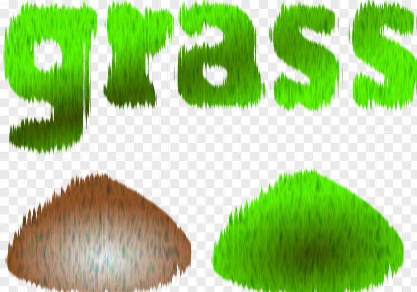 Grass Grasses Clip Art PNG