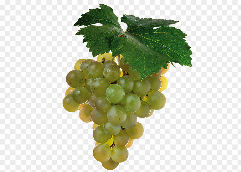 Juice Cabernet Sauvignon Shiraz Wine Grape PNG