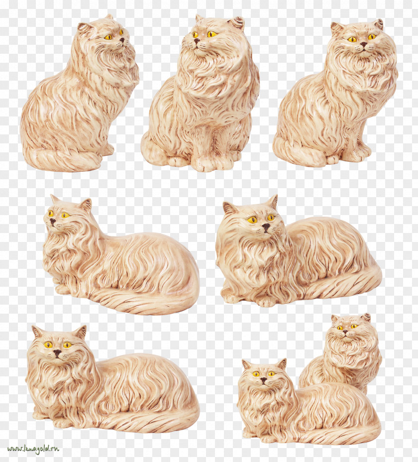 Kitten Tabby Cat Whiskers Clip Art PNG