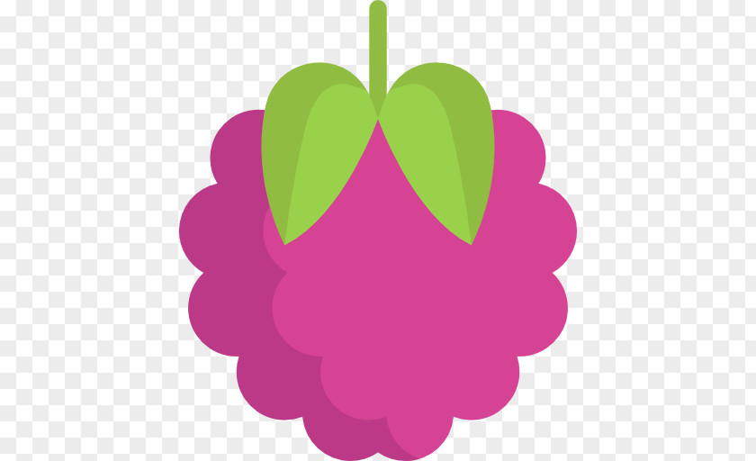 Raspberry Vector Clip Art PNG